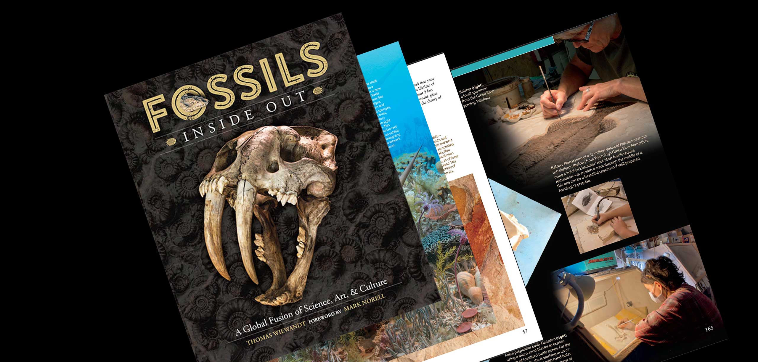 Fossils Inside Out, Wild Horizons