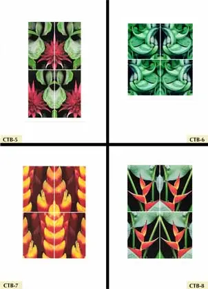 Wild Horizons’ Photographic Art Cards,
