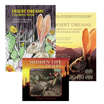 DESERT DREAMS COLORING BOOK features Sonoran Desert plants and animals, by Thomas Wiewandt, Desert Dreams Hidden Life of the Desert