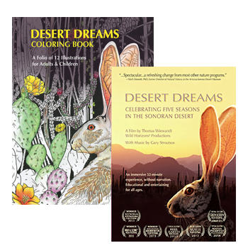 Desert Dreams, Celebrating Five Seasons in the Sonoran Desert. DESERT DREAMS COLORING BOOK features Sonoran Desert plants and animals, by Thomas Wiewandt,