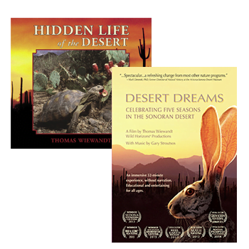 Desert Dreams, Celebrating Five Seasons in the Sonoran Desert, Hidden Life of the Desert