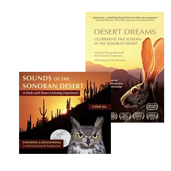 Sounds of the Sonoran Desert, Desert Dreams,