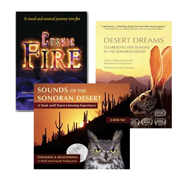 Sounds of the Sonoran Desert, Desert Dreams, Cosmic Fire