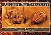 ancientseasales Ancient Sea Creatures