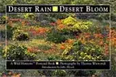 desertrainsales Desert Rain and Desert Bloom