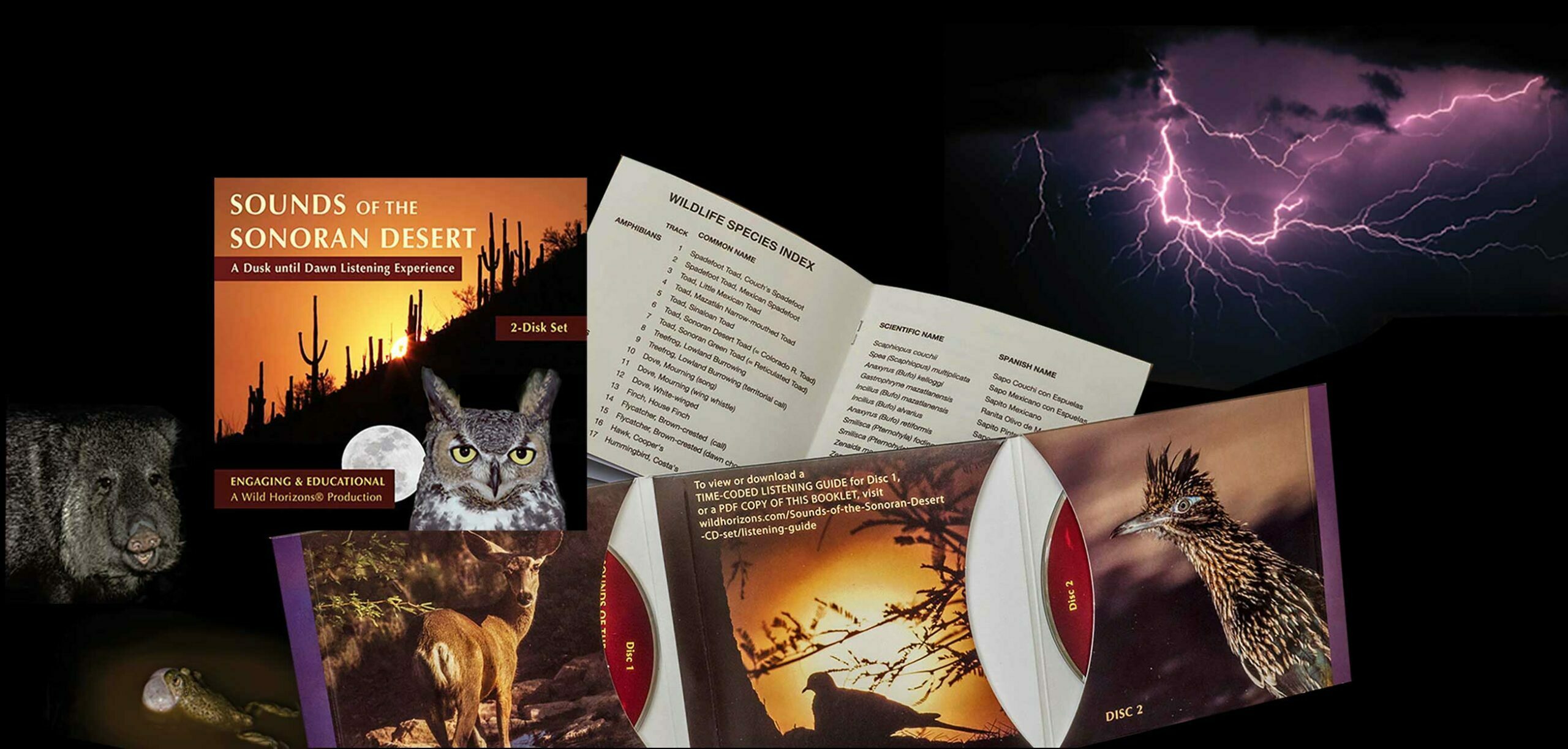 Sounds of the Sonoran Desert, A Dusk until Dawn Listening Experience, produced by Thomas Wiewandt and edited by Jeffrey Cravath.