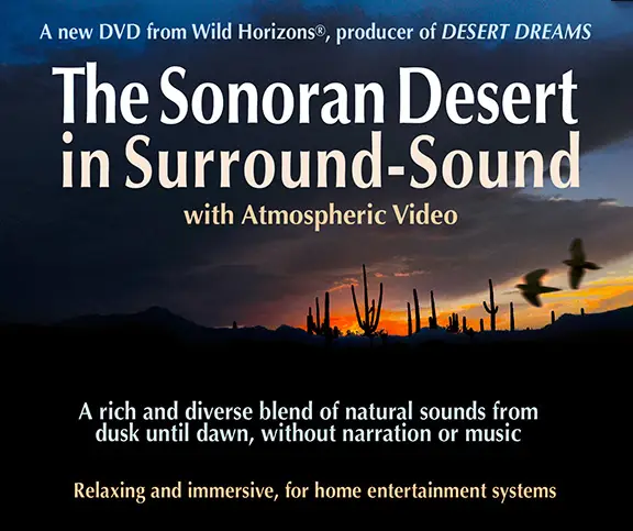 Sonoran Desert in Surround Sound with Atmospheric Video