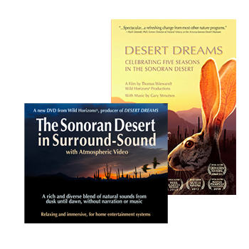 Desert Dreams, Sonoran Desert in Surround Sound