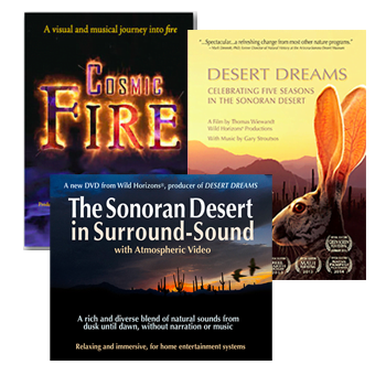Cosmic Fire, Desert Dreams, Sonoran Desert in Surround Sound